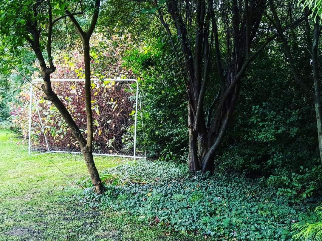 De Linderd Bed & Breakfast Aalst Bagian luar foto