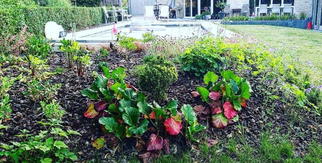 De Linderd Bed & Breakfast Aalst Bagian luar foto